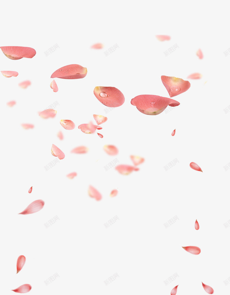 情人节玫瑰花瓣png免抠素材_新图网 https://ixintu.com 婚纱照花瓣 桃花花瓣 玫瑰花花瓣 粉红素材 节日 飘落装饰 鲜花