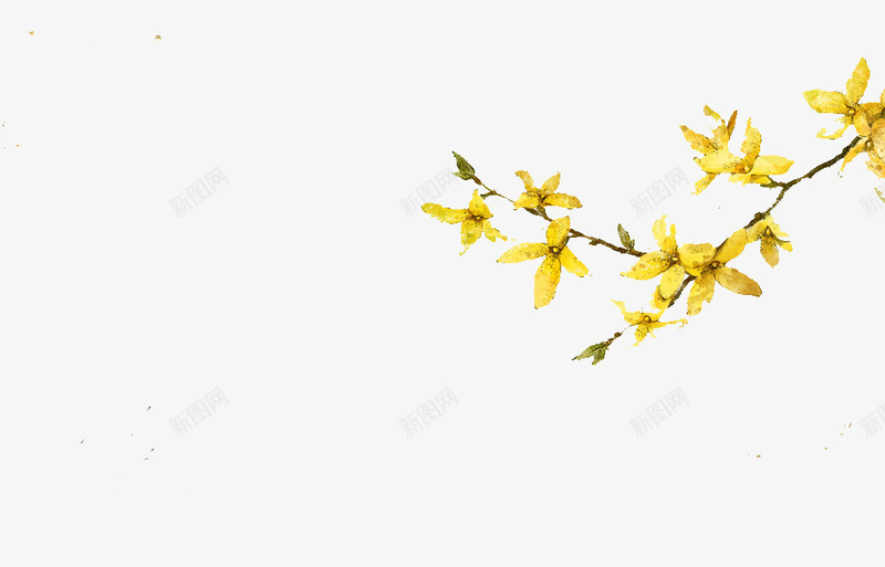 手绘黄色迎春花图案png免抠素材_新图网 https://ixintu.com 图案 手绘 手绘迎春花 棕色枝干 装饰 迎春花 黄色花朵