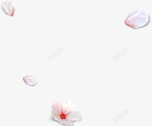 粉色桃花花瓣海报png免抠素材_新图网 https://ixintu.com 一朵桃花 桃花 海报 粉色 花瓣