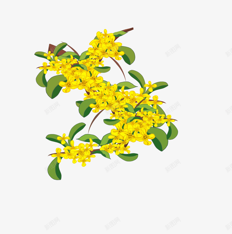 手绘中秋桂花插画元素psd免抠素材_新图网 https://ixintu.com 中秋 手绘 插画 桂花 桂花插画