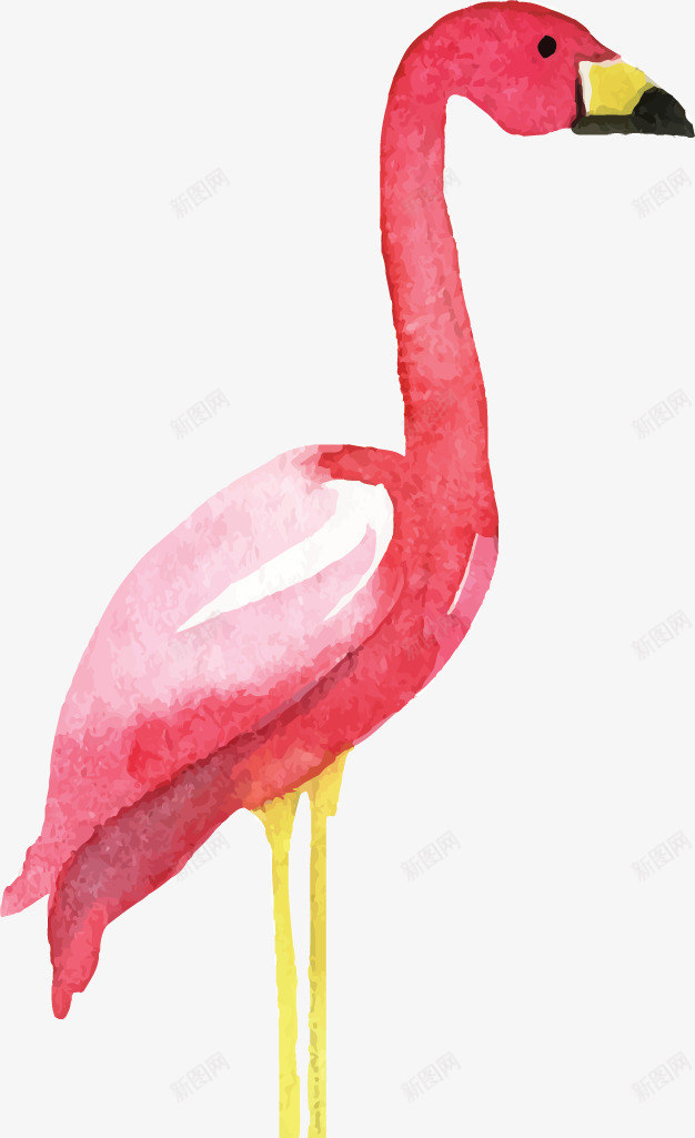卡通火烈鸟无框画装饰图案png免抠素材_新图网 https://ixintu.com 优雅 共舞 动物 情侣 火烈鸟无框画 火焰鸟 爱情 鸟类