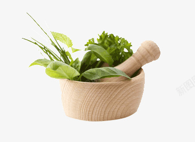 中药加工png免抠素材_新图网 https://ixintu.com 安全 植物 草本