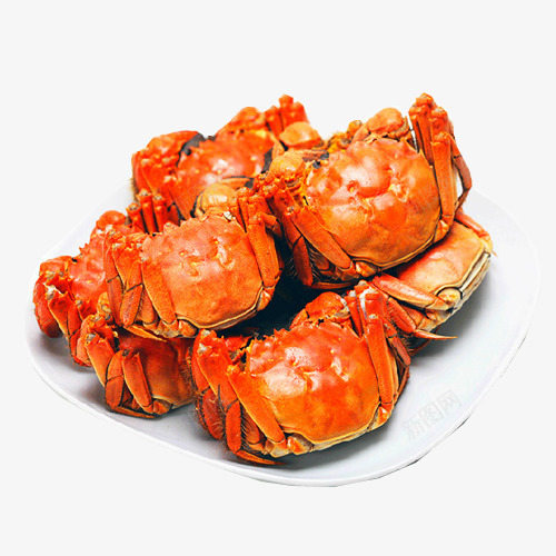 正宗阳澄湖大闸蟹png免抠素材_新图网 https://ixintu.com 大闸蟹 实物 阳澄湖 食品
