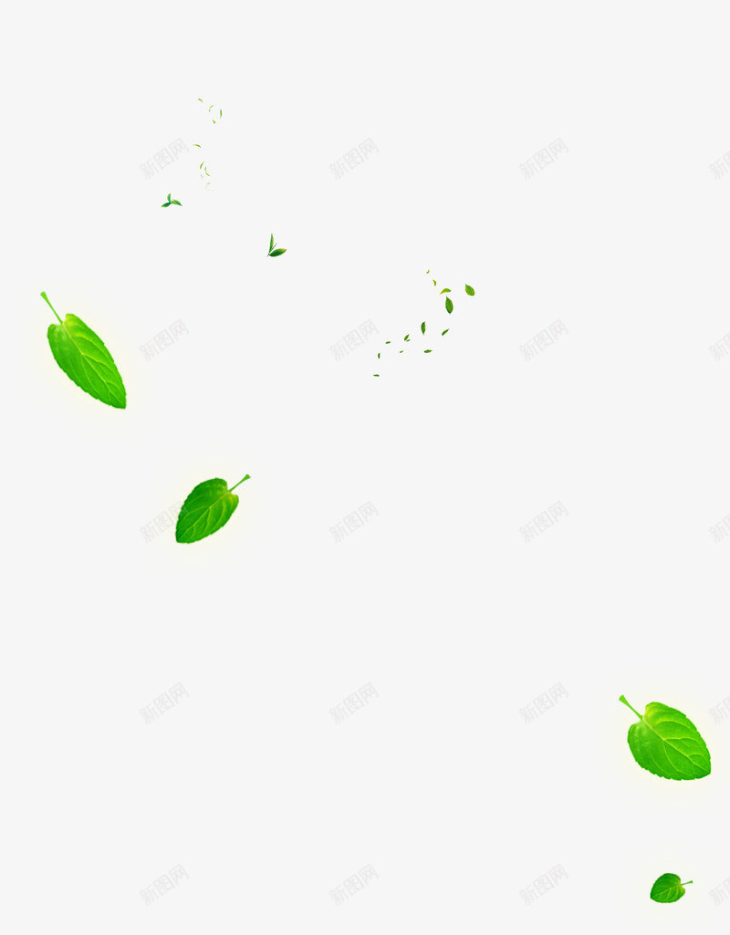 飘落的树叶png免抠素材_新图网 https://ixintu.com 春天 绿叶 绿色 茶叶