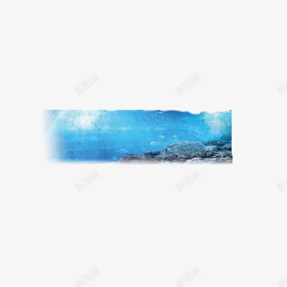 水底世界png免抠素材_新图网 https://ixintu.com 世界 景观 水底 海底