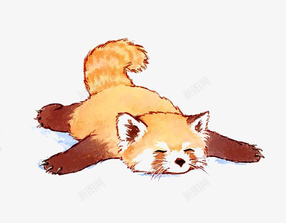 手绘小浣熊png免抠素材_新图网 https://ixintu.com 动物 卡通小浣熊 小浣熊插画 棕色小浣熊