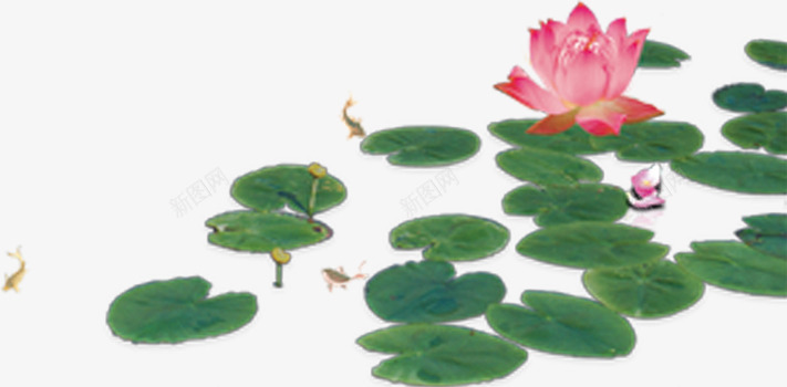 水墨画绿色荷叶荷花池团队png免抠素材_新图网 https://ixintu.com 团队 水墨画 竹子荷花荷叶满池塘 绿色 花池 荷叶