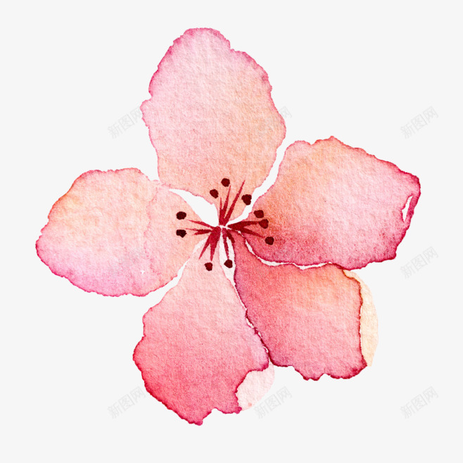 单个桃花梅花手绘png免抠素材_新图网 https://ixintu.com 手绘 桃花 梅花 樱花