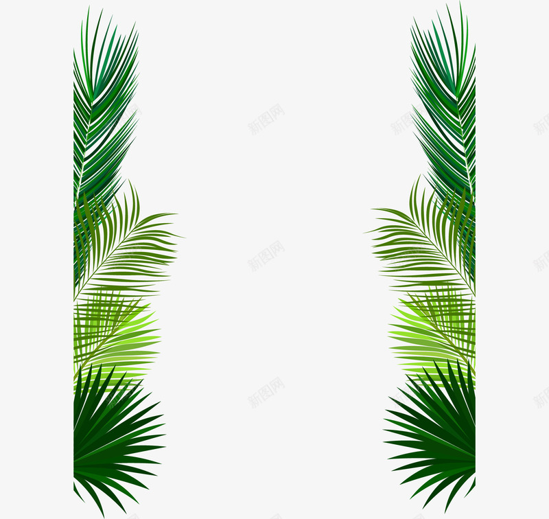 针叶植物海边边框png免抠素材_新图网 https://ixintu.com 叶子边框 沙滩派对邀请函 矢量素材 绿色叶子 针叶植物