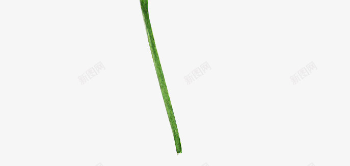 水彩绿叶手绘简图png免抠素材_新图网 https://ixintu.com 叶子 小草 手绘图 桔梗 植物 水彩 绿叶 绿植 鲜嫩的小草