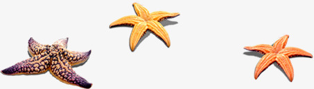 摄影夏天海边海星png免抠素材_新图网 https://ixintu.com 夏天 摄影 海星 海边