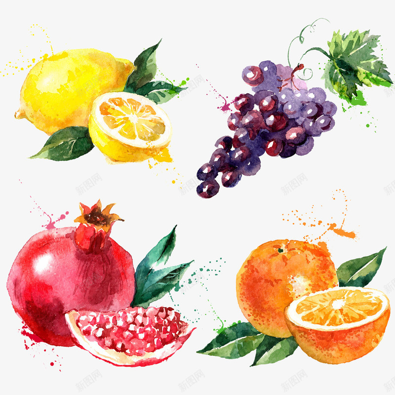 彩绘宴会png免抠素材_新图网 https://ixintu.com 手绘 柠檬 橘子 水果 清新 石榴 葡萄 食物