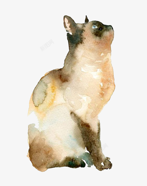水彩猫咪png免抠素材_新图网 https://ixintu.com 卡通 彩色 手绘 抬头 棕色 水彩 猫咪 装饰