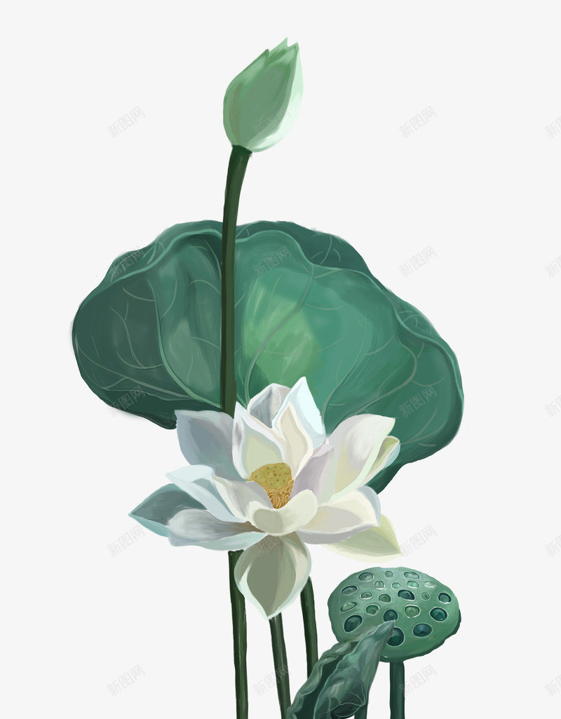 夏天荷叶荷花古风插画psd免抠素材_新图网 https://ixintu.com 古风 夏天 插画 荷叶 荷花