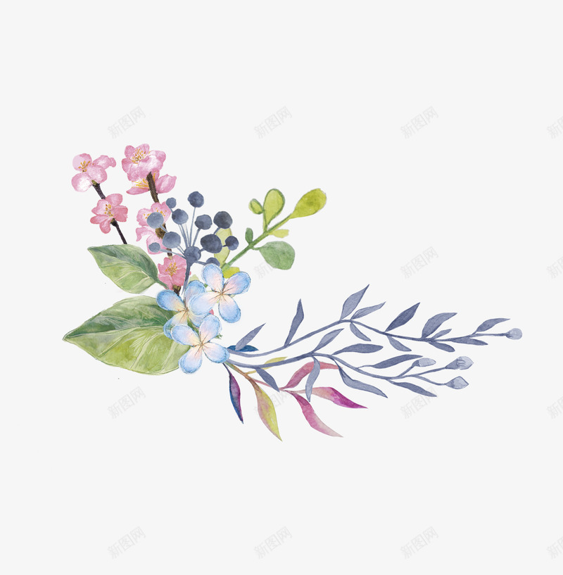 手绘花草花卉装饰png免抠素材_新图网 https://ixintu.com 小清新花草装饰 文艺花草PPT制作 植物插画 海报设计 花环 花草包装礼盒 花草插画 花草装饰