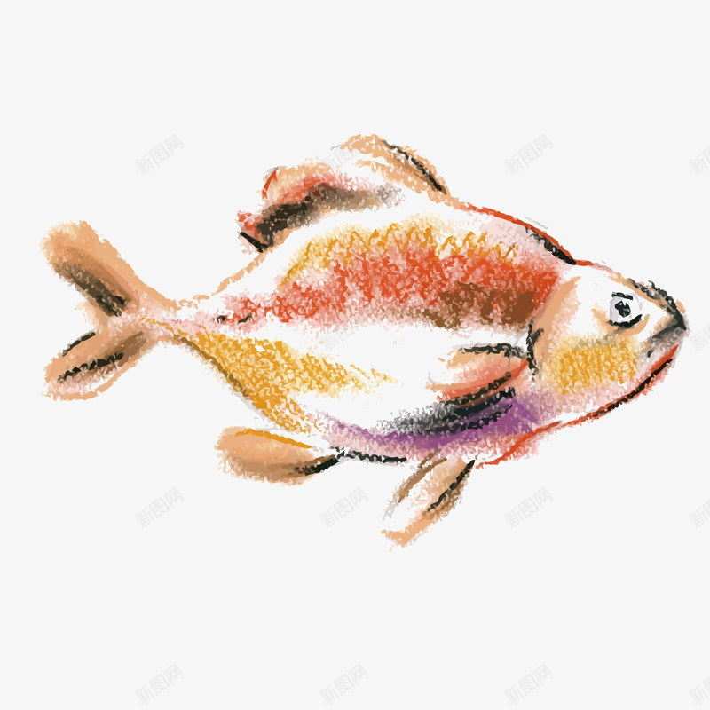 卡通彩绘鲤鱼海底鱼矢量图ai免抠素材_新图网 https://ixintu.com 卡通 彩绘 海底鱼 鲤鱼 矢量图