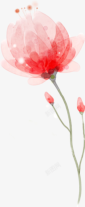 手绘梦幻星光花朵植物png免抠素材_新图网 https://ixintu.com 星光 梦幻 植物 花朵