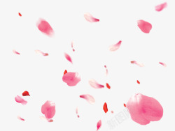 创意粉红色的玫瑰花花瓣漂浮元素素材