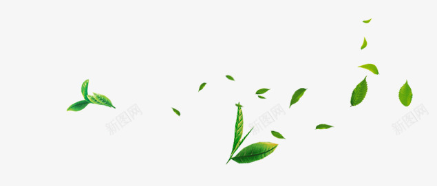 茶艺png免抠素材_新图网 https://ixintu.com 树叶 植物 绿色 茶叶