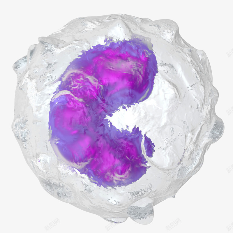 半透明细胞微距插画png免抠素材_新图网 https://ixintu.com 3D立体 健康 半透明细胞微距插画 生物学 电脑合成 自然科学 防护