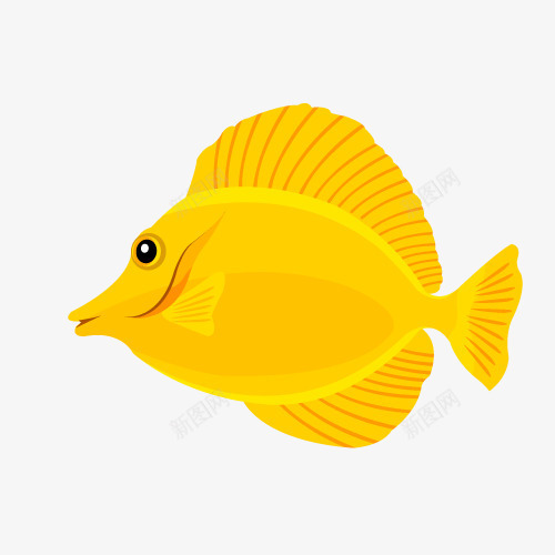 手绘黄高鳍刺尾鱼png免抠素材_新图网 https://ixintu.com 手绘 手绘黄高鳍刺尾鱼 手绘黄高鳍刺尾鱼PNG 水中游 海底 鱼儿 黄高鳍刺尾鱼