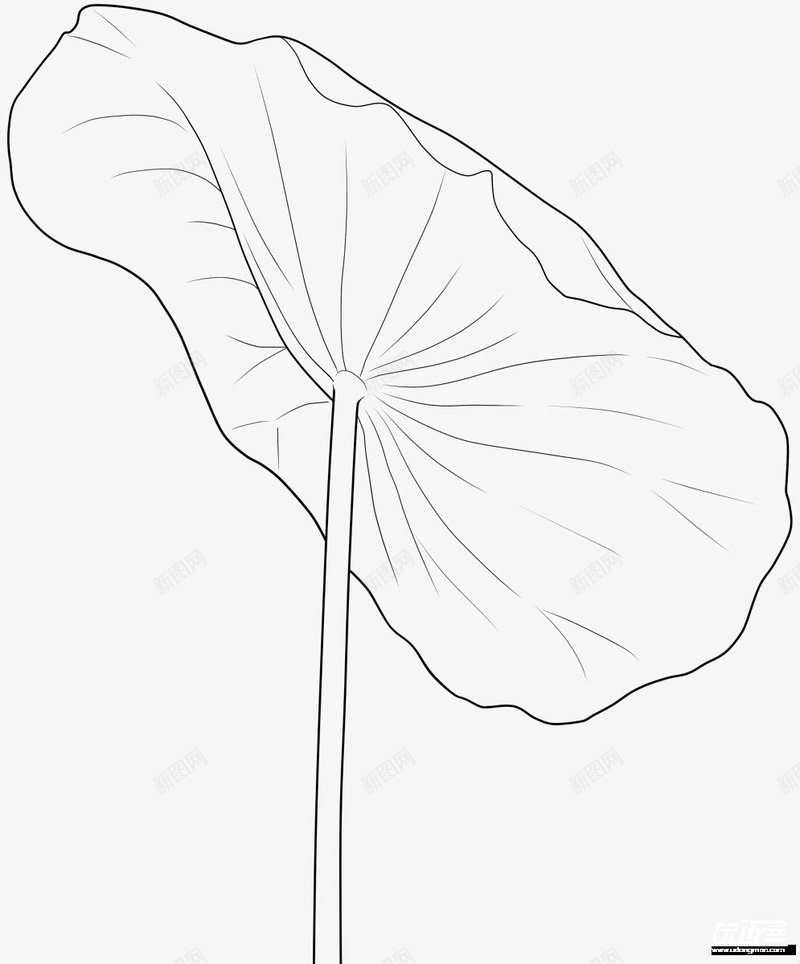 创意合成手绘夏天的荷叶png免抠素材_新图网 https://ixintu.com 创意 合成 夏天 荷叶