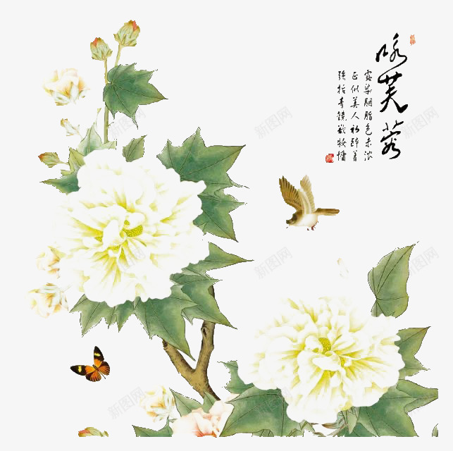诗情画意png免抠素材_新图网 https://ixintu.com PNG 免费素材 白牡丹 诗句