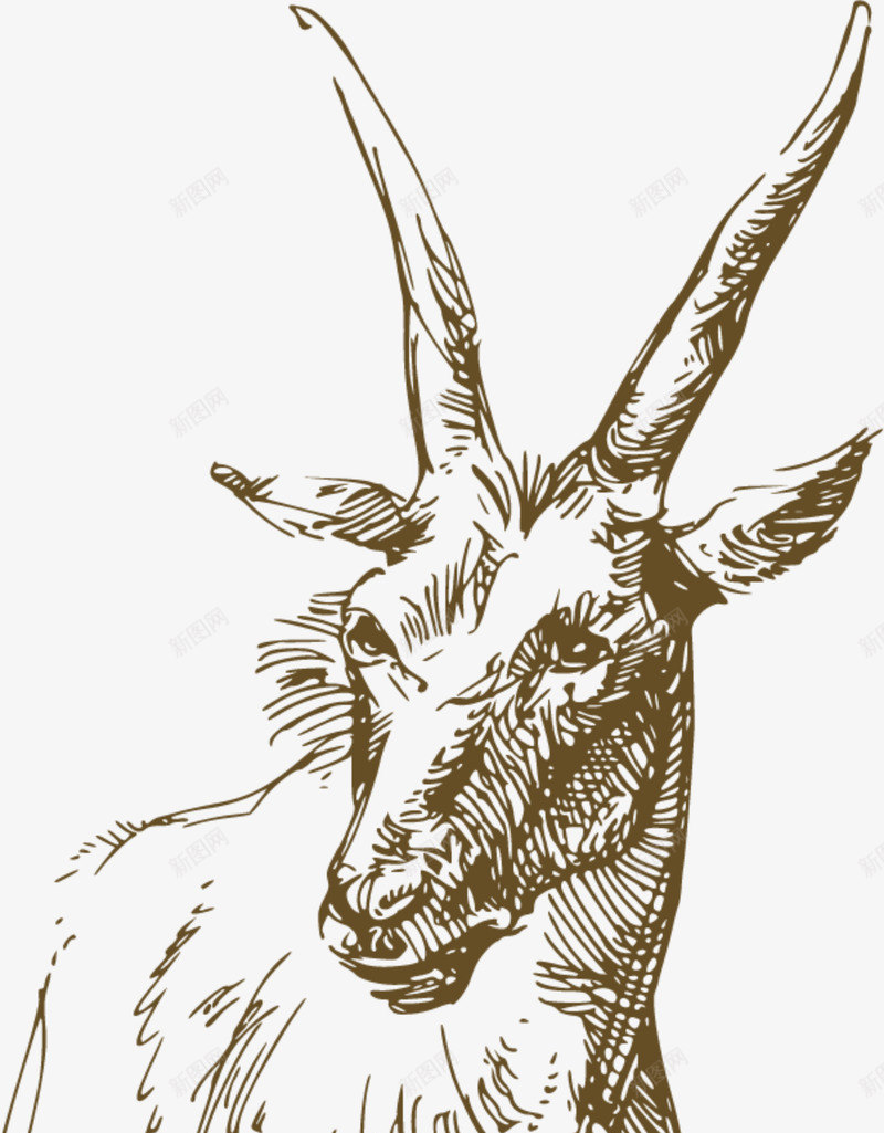 素描可爱山羊png免抠素材_新图网 https://ixintu.com 可爱山羊 呆萌山羊 唯美山羊 棕色山羊 棕色羊角 站立 素描山羊