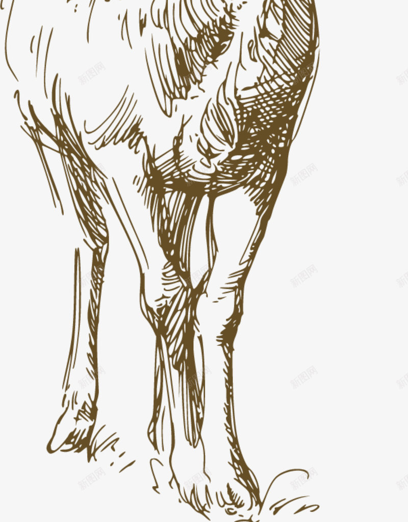 素描可爱山羊png免抠素材_新图网 https://ixintu.com 可爱山羊 呆萌山羊 唯美山羊 棕色山羊 棕色羊角 站立 素描山羊