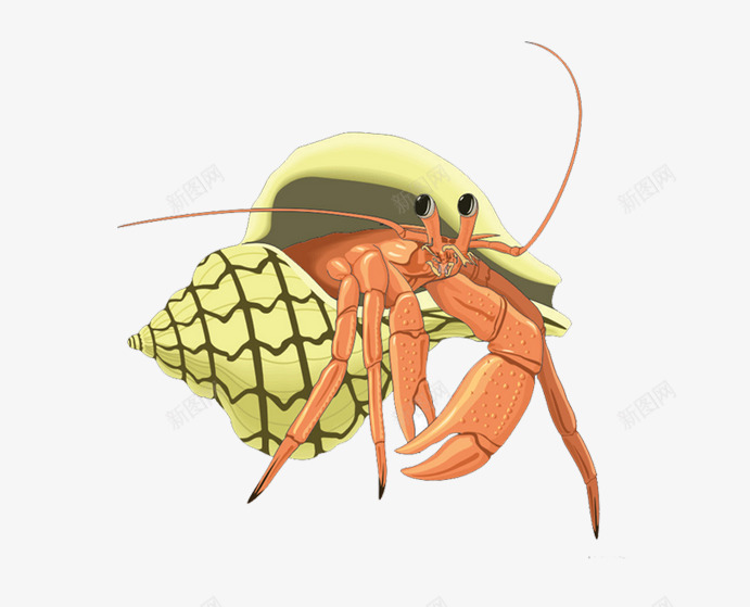 海底生物片png免抠素材_新图网 https://ixintu.com 卡通手绘海底生物图片 虾类图片 蜗牛图片 观赏生物