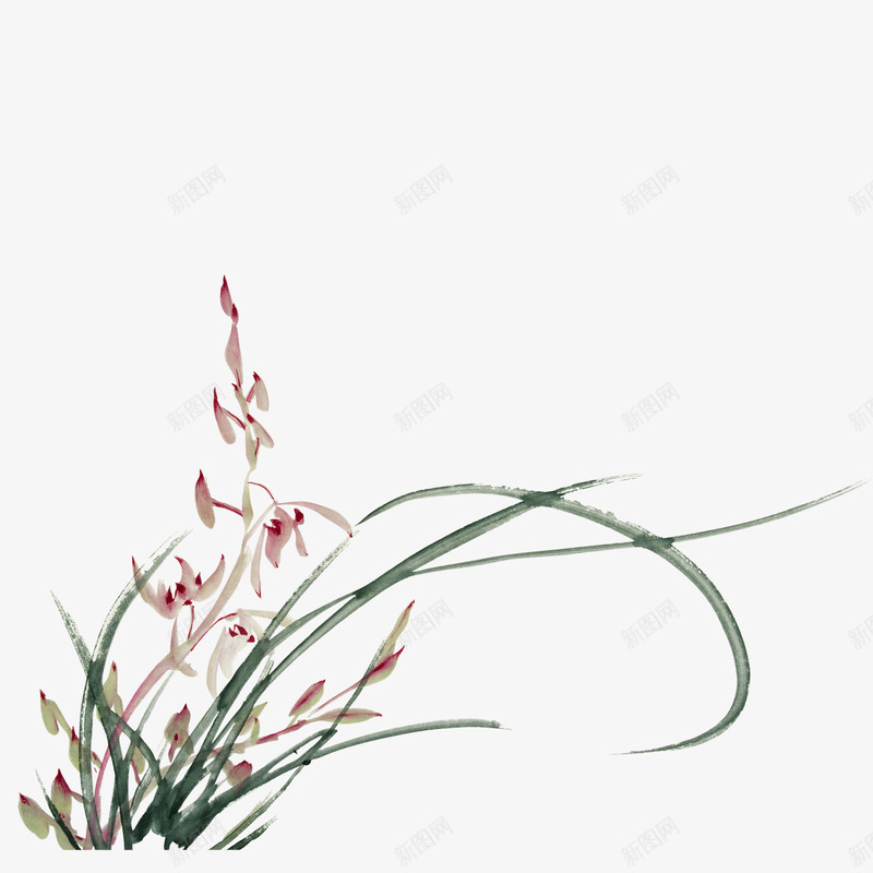 工笔兰花png免抠素材_新图网 https://ixintu.com 中国风 兰花 四君子 工笔画 水墨