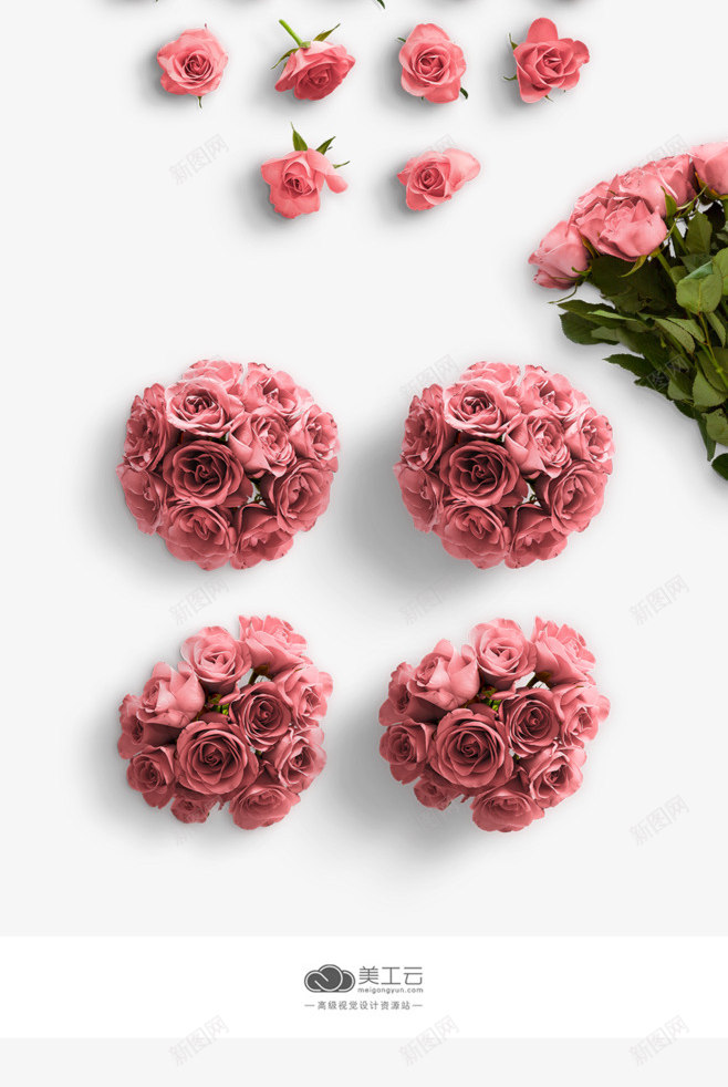 粉红色玫瑰花png免抠素材_新图网 https://ixintu.com png 植物 玫瑰 玫瑰花 粉红色 素材