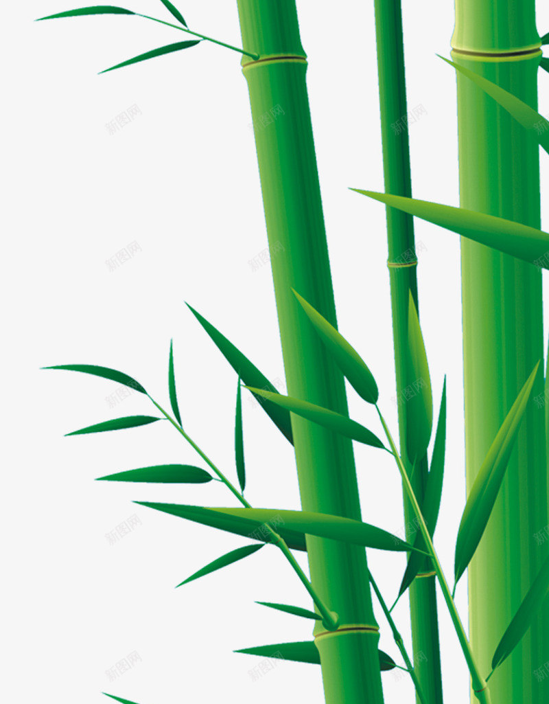 端午节绿色竹子竹叶装饰png免抠素材_新图网 https://ixintu.com 端午节 竹叶 竹子 绿色 装饰