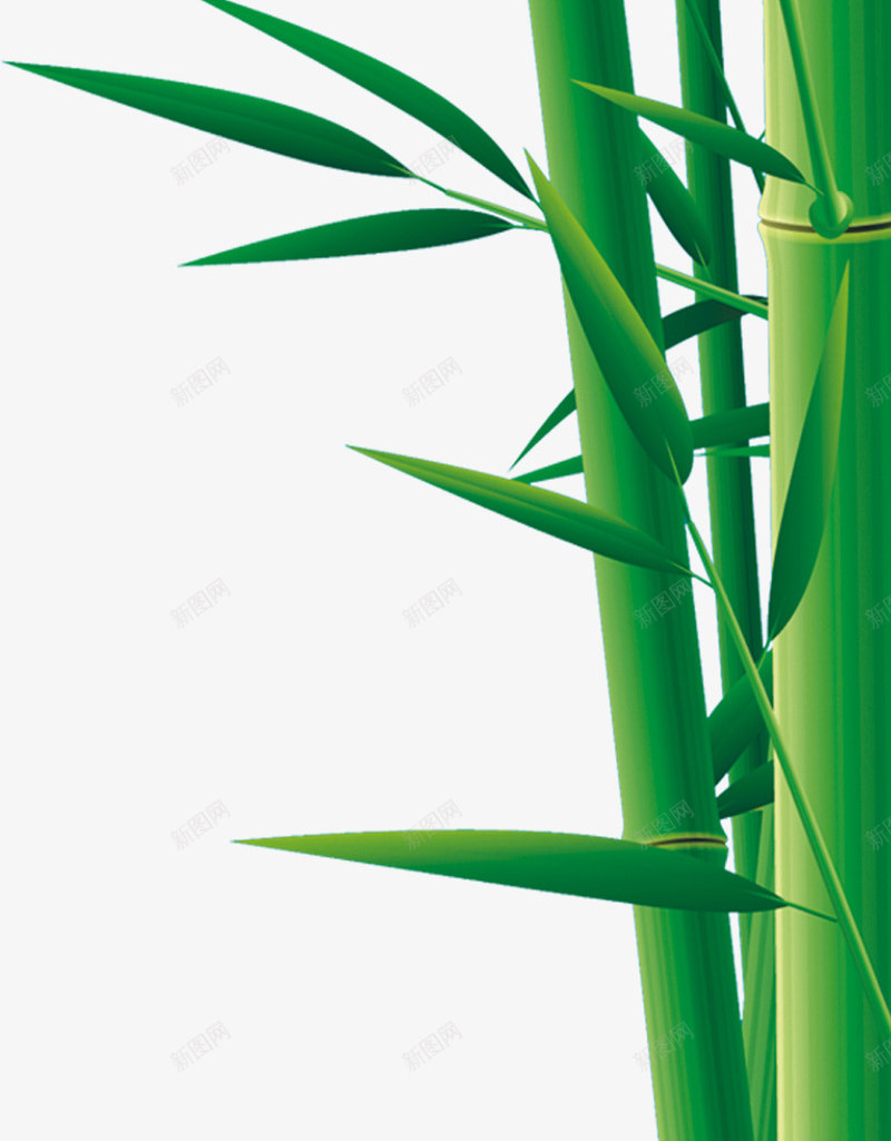 端午节绿色竹子竹叶装饰png免抠素材_新图网 https://ixintu.com 端午节 竹叶 竹子 绿色 装饰