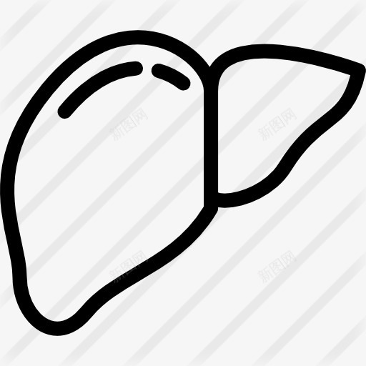 肝图标png_新图网 https://ixintu.com 医学 医疗保健和医疗 器官 肝脏 解剖学 身体部位