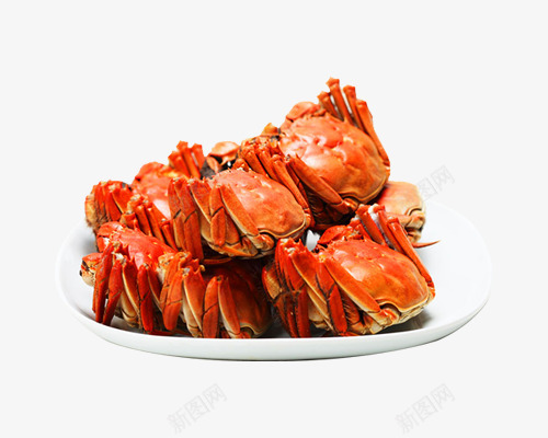 鲜美海鲜螃蟹png免抠素材_新图网 https://ixintu.com 免抠PNG图片 大闸蟹 水产 海鲜 螃蟹 鲜美
