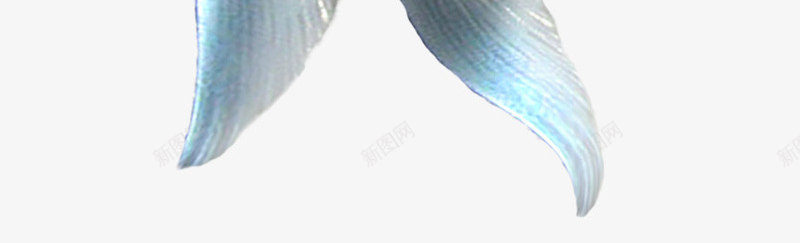 美人鱼尾巴png免抠素材_新图网 https://ixintu.com 美人鱼 金色鱼尾 鱼尾巴