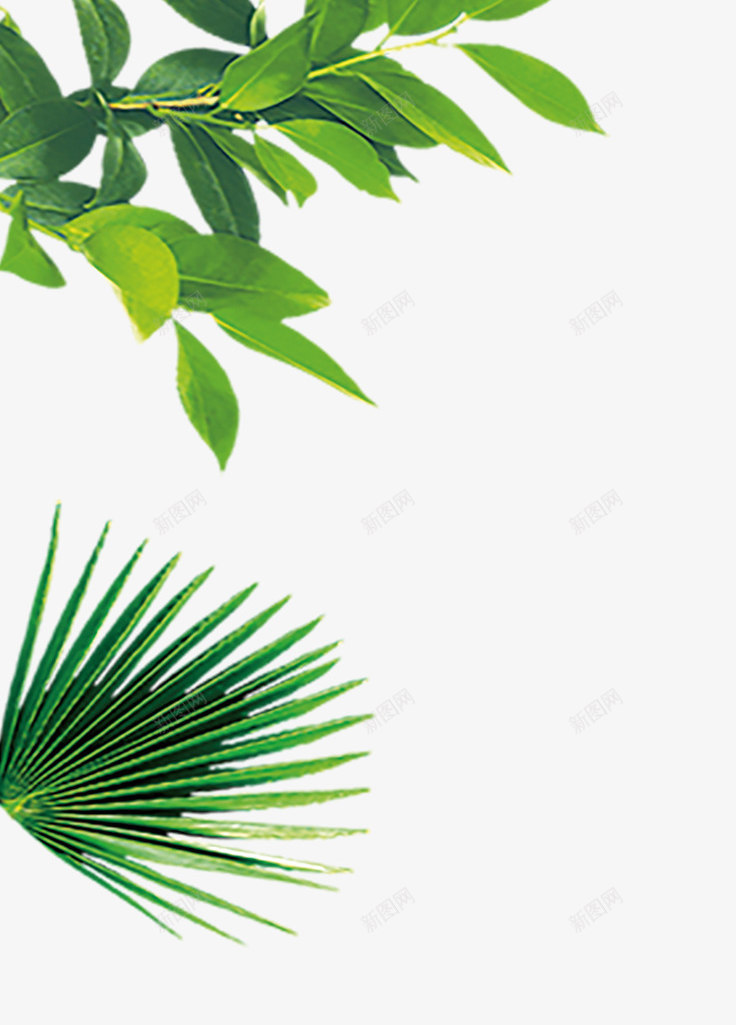 版纳热带雨林植物png免抠素材_新图网 https://ixintu.com 热带 热带雨林植物 版纳 绿植