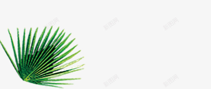 版纳热带雨林植物png免抠素材_新图网 https://ixintu.com 热带 热带雨林植物 版纳 绿植