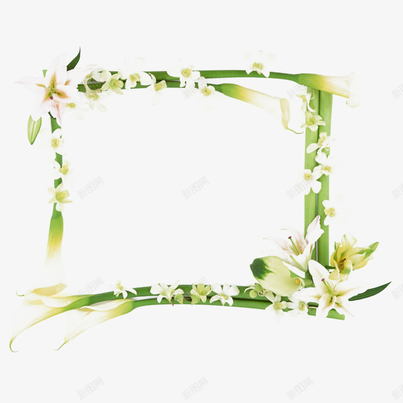 像框png免抠素材_新图网 https://ixintu.com 像框 可编辑 底纹边框 模版下载 白色百多 相框 绿叶 花朵 花边 设计 边框