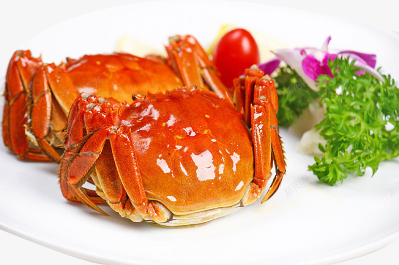 大闸蟹食品png免抠素材_新图网 https://ixintu.com 大闸蟹 菜品 螃蟹 食品