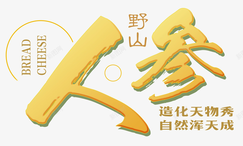 野山人参png免抠素材_新图网 https://ixintu.com 人参 健康 养生 大补 深山 纯天然 自然 补品 野人参