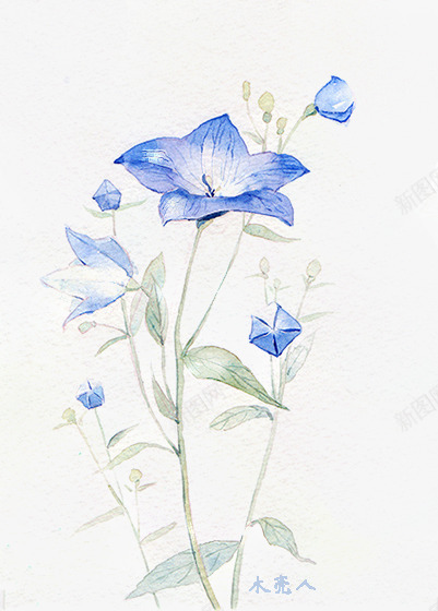 唯美中国古风水彩插画png免抠素材_新图网 https://ixintu.com 中国风 古代风 古风水彩 古风海报素材 古风物件 古风花卉 山清水秀 彩色水墨画 文人墨客 水彩画 花卉 花鸟鱼虫 落花流水 蓝色花朵 诗情画意 风景