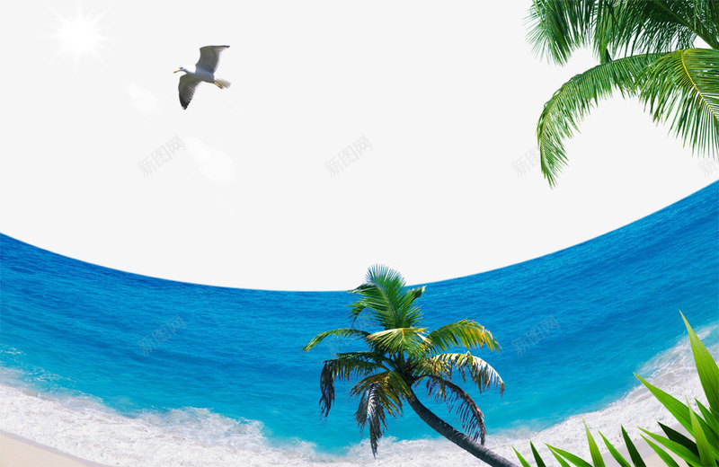 海边沙滩海鸥png免抠素材_新图网 https://ixintu.com 沙滩 海边 海鸥
