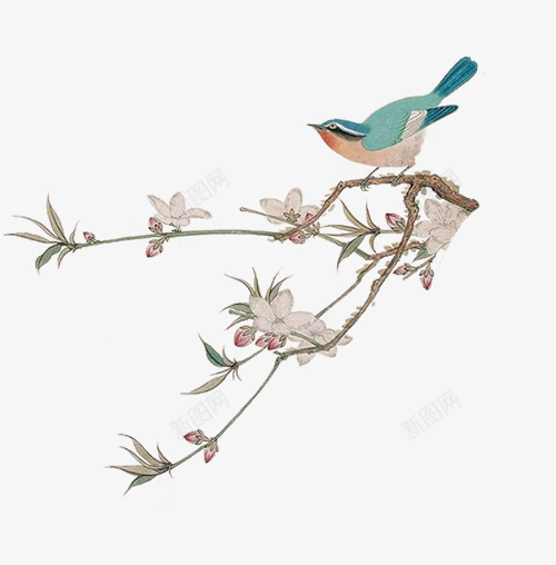中国风典雅手绘树枝花鸟png免抠素材_新图网 https://ixintu.com 中国风 手绘 枝叶 树 树叶 树枝 树腾 树藤 绿叶 绿色 花 藤蔓 鸟