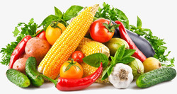 有机有机蔬菜黄瓜玉米大蒜养生食品菜高清图片