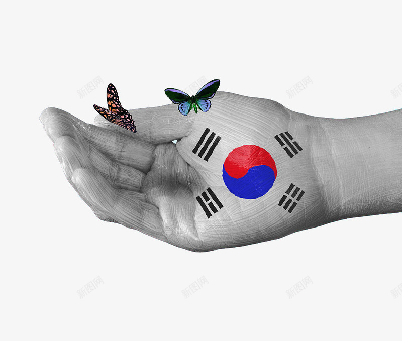 韩国国旗手绘蝴蝶png免抠素材_新图网 https://ixintu.com 创新风格 国旗 国旗手绘 图案 手绘风格 蝴蝶 韩国
