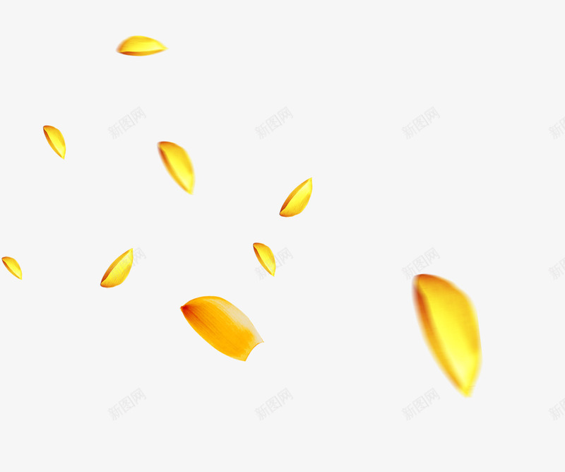 金色花瓣漂亮飞舞png免抠素材_新图网 https://ixintu.com 漂亮 素材 花瓣 花飘落 金色 飞舞