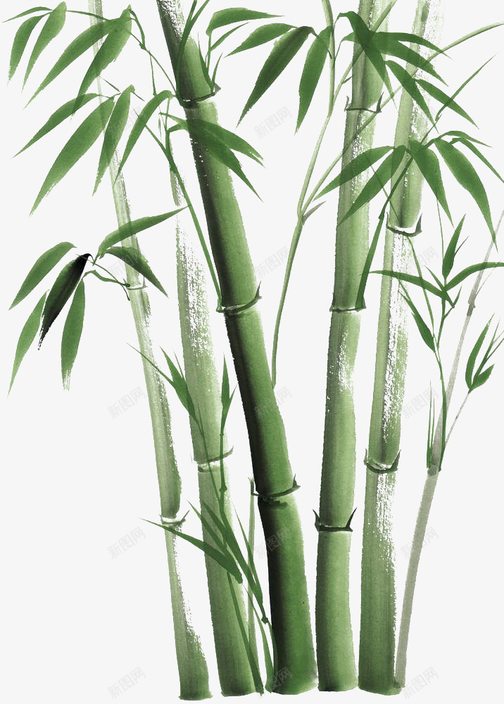 绿色竹子png免抠素材_新图网 https://ixintu.com 手绘 竹叶 竹子 竹子线条 竹节 线条 绿色