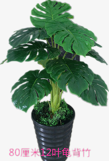 仿真植物绿盆栽png免抠素材_新图网 https://ixintu.com 产品实物 假话假树 好看 龟背竹